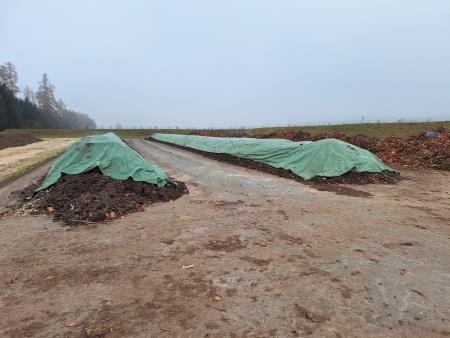 Oddelek za razvoj in investicije (3)